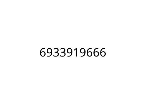 6933919666