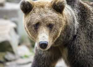 about how far apart are key west florida and havana cuba