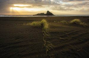 accidentally signed up for tj maxx credit card