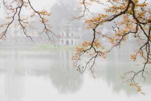 coinpedia blockchain & fintech news media