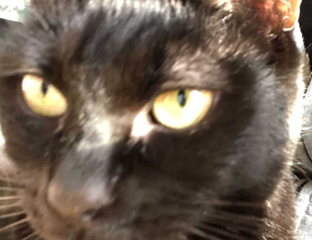 kids toys with prokaihaz