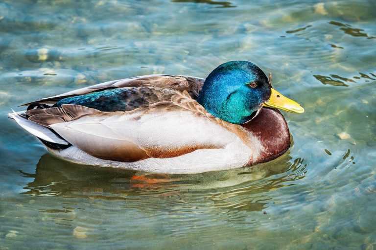 lightniteone new version for pc