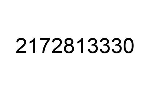 2172813330