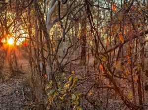 louisa khovanski onlyfans