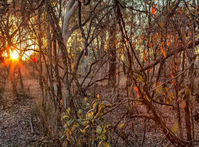 louisa khovanski onlyfans