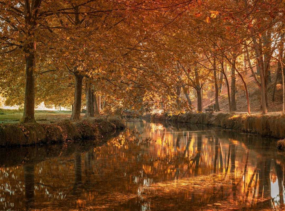 La Pequeña Pantalla y el Poder de un Buen Flequillo