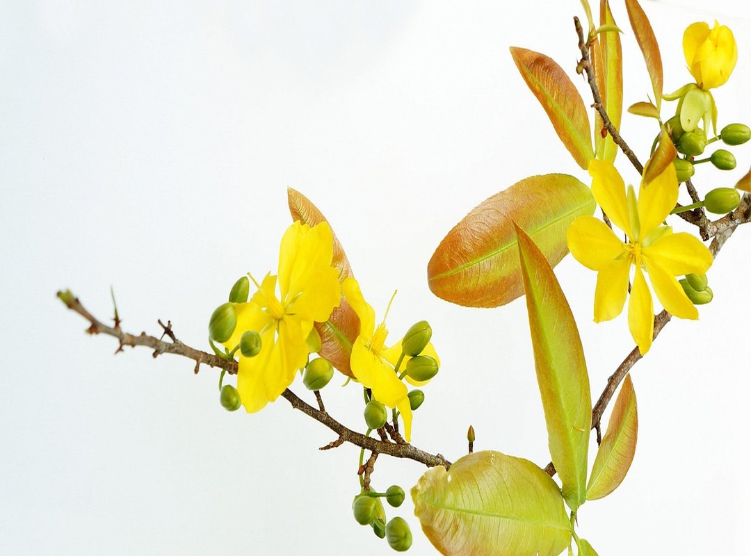 How Sofie Mai and Her Community Responded