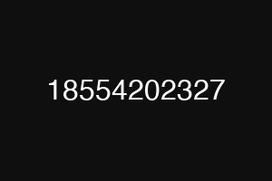 18554202327