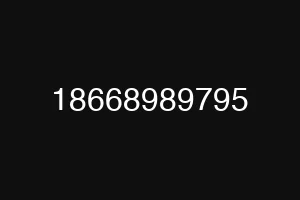 18668989795
