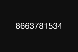 8663781534