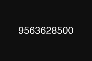 9563628500