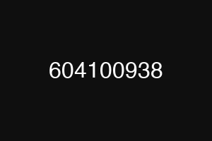 604100938