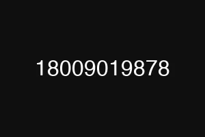 18009019878