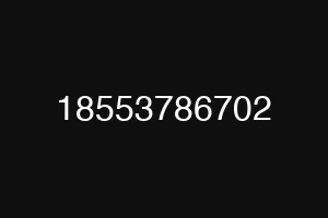 18553786702