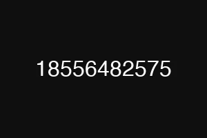18556482575
