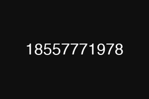 18557771978