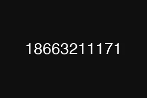 18663211171