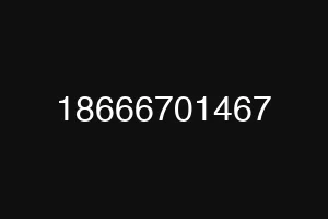 18666701467
