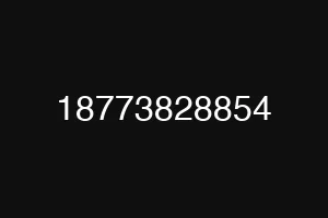 18773828854