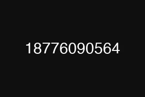 18776090564