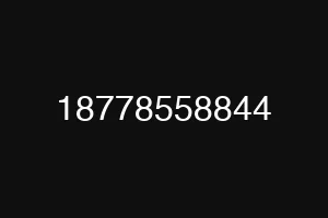 18778558844
