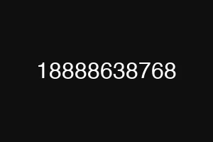18888638768