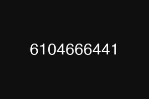 6104666441