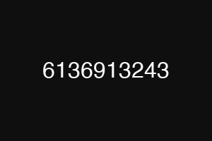 6136913243
