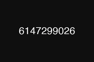 6147299026