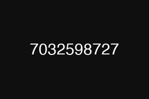 7032598727