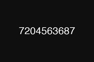 7204563687