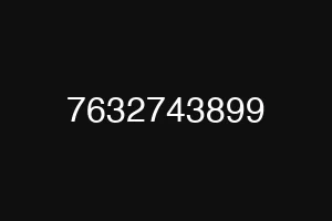7632743899