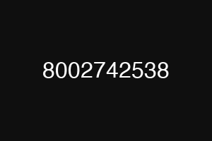 8002742538