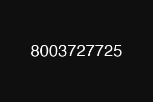 8003727725