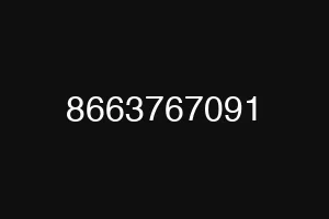 8663767091