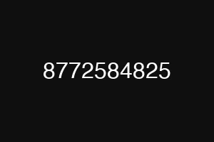 8772584825