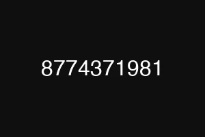 8774371981