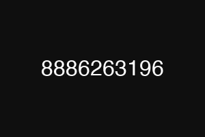 8886263196