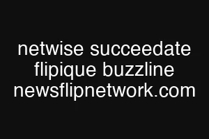 netwise succeedate flipique buzzline newsflipnetwork.com