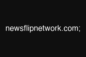 newsflipnetwork.com;